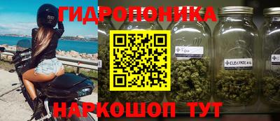 СК Гусь-Хрустальный