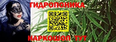 СК Гусь-Хрустальный