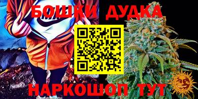 СК Гусь-Хрустальный